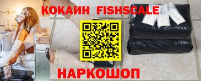 крисы Пенза