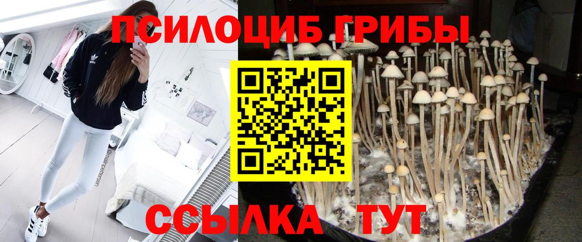 Галлюциногенные грибы Cubensis  Галлюциногенные грибы Psilocybine cubensis  Тара  Вход с VPN 