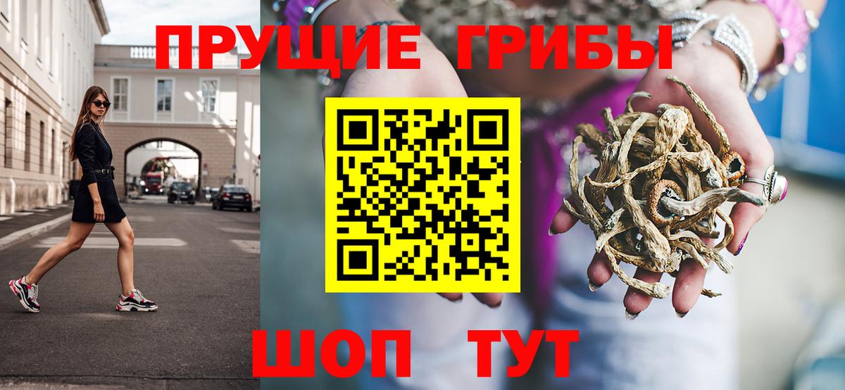 Псилоцибиновые грибы мухоморы Тара